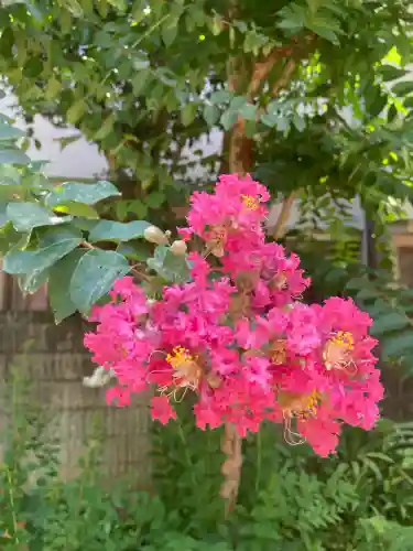 妻沼聖天山歓喜院(埼玉県)