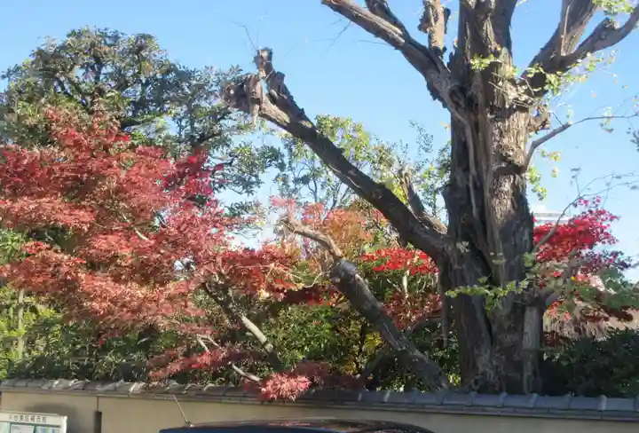 天王寺(東京都)