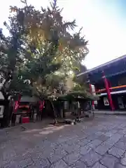 本覚寺(東京都)