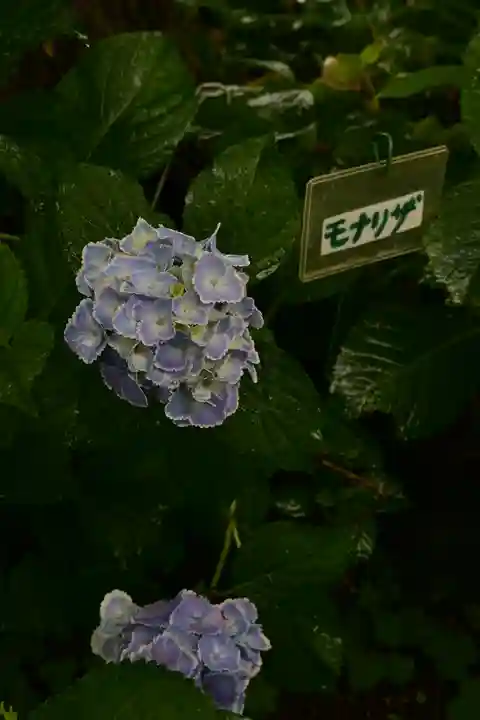 円照寺(兵庫県)