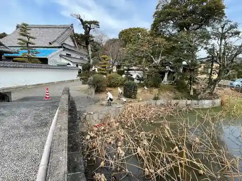雲龍山 本證寺(愛知県)