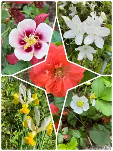 岡部春日神社～👹鬼門よけの🌺花咲く🌺やしろ～(福島県)