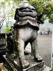 豊葦原神社の狛犬