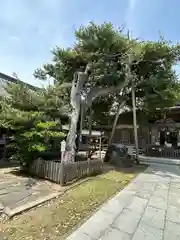 玉崎神社(千葉県)