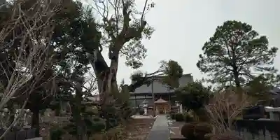 和光院(田島の血不動尊)のその他建物