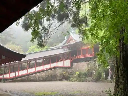 霧島神宮の本殿