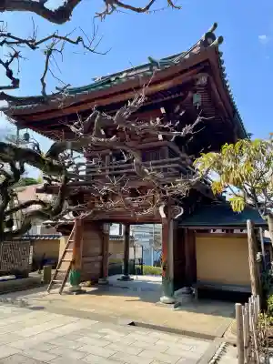 高松寺(神奈川県)