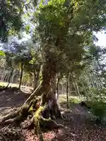 小浴神社(福井県)
