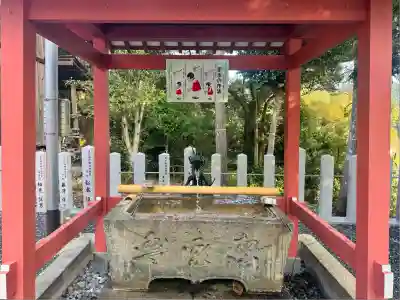 柏原八幡宮(兵庫県)