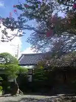 補陀洛寺のその他建物