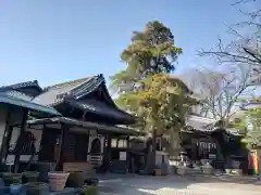 宗延寺の建物その他