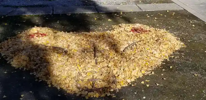 半田稲荷神社の手水舎