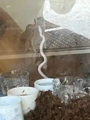 三宝神社(福岡県)