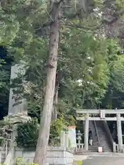 川勾神社(神奈川県)