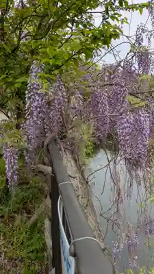 應神天皇惠我藻伏崗陵（誉田御廟山古墳）(大阪府)