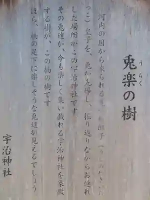 宇治神社の歴史