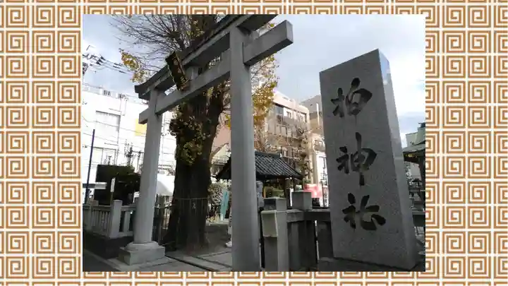 柏神社(千葉県)