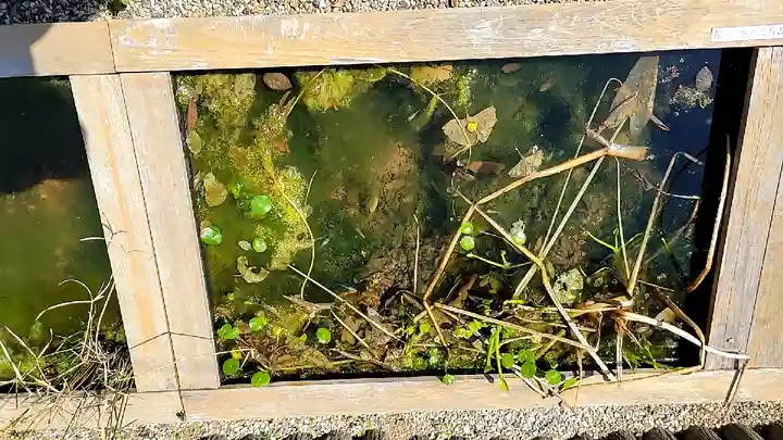 おふさ観音(観音寺)(奈良県)