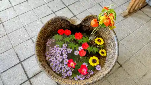 美瑛神社の手水