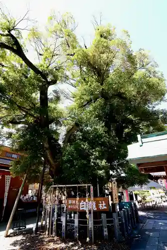 伊奴神社(愛知県)