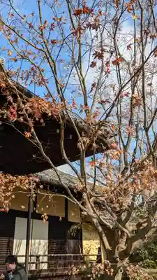 勝林寺(京都府)