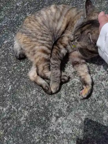 海善寺(静岡県)