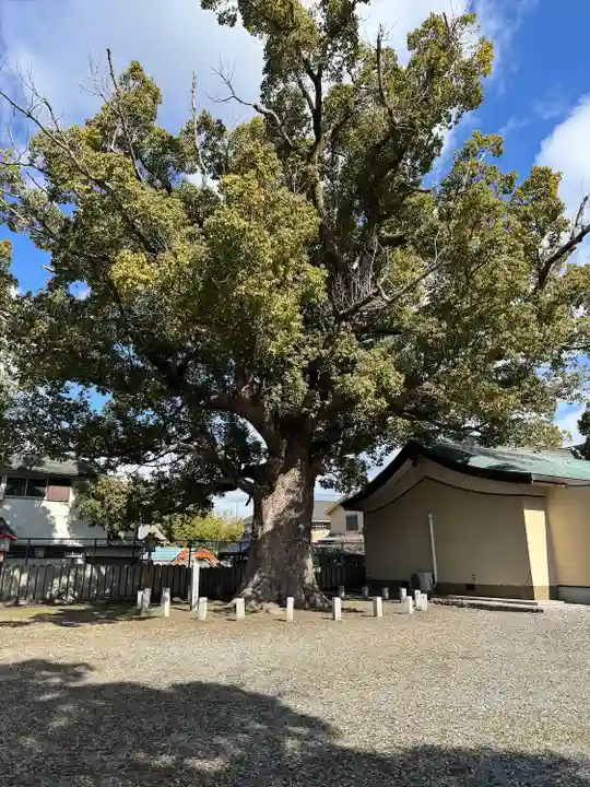 金岡神社(大阪府)