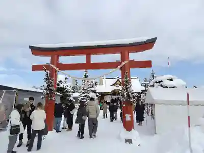 美瑛神社の初詣