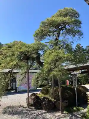 白鷺神社の{uncategorized: "未分類", other: "その他", undefined: "問題あり", building: "その他建物", grave: "お墓", sacred_gate: "鳥居", guardian: "狛犬", statue: "像", buddha: "仏像", history: "歴史", nature: "自然", garden: "庭園", animal: "動物", pagoda: "塔", temizu: "手水舎", mountain_gate: "山門・神門", sanctuary: "本殿・本堂", subordinate: "末社・摂社", art: "芸術", scenery: "景色", jizo: "地蔵", ema: "絵馬", goshuin: "御朱印", omikuji: "おみくじ", items: "授与品その他", amulet: "お守り", goshuincho: "御朱印帳", eats: "食事", festival: "お祭り", votive_dance: "神楽", shichigosan: "七五三参", wedding: "結婚式", experience: "体験その他", initially: "初詣", around: "周辺", anti_infection: "感染症対策"}