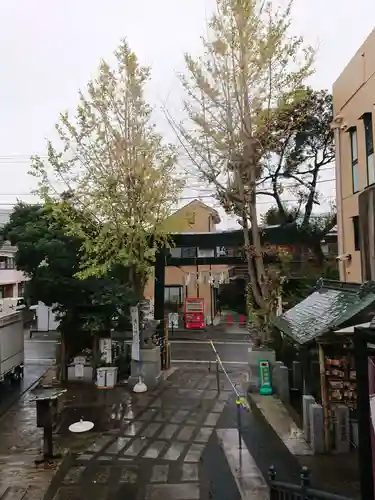 菊名神社の鳥居