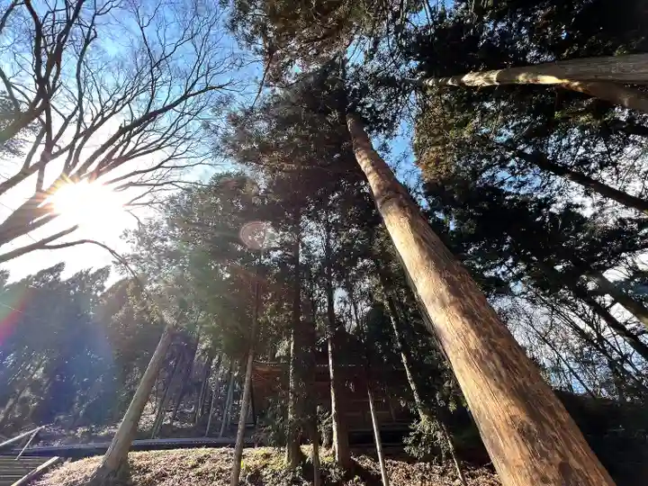 子檀嶺神社の自然