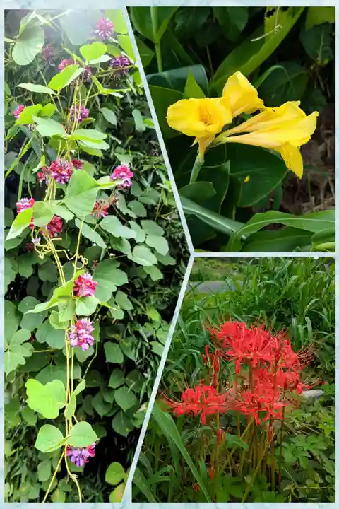 七百餘所神社 の自然