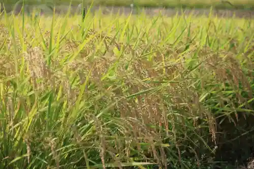 高司神社〜むすびの神の鎮まる社〜の周辺
