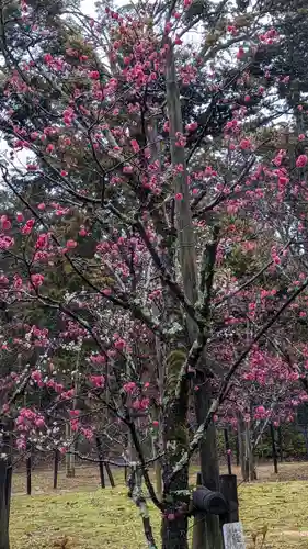 長岡天満宮(京都府)