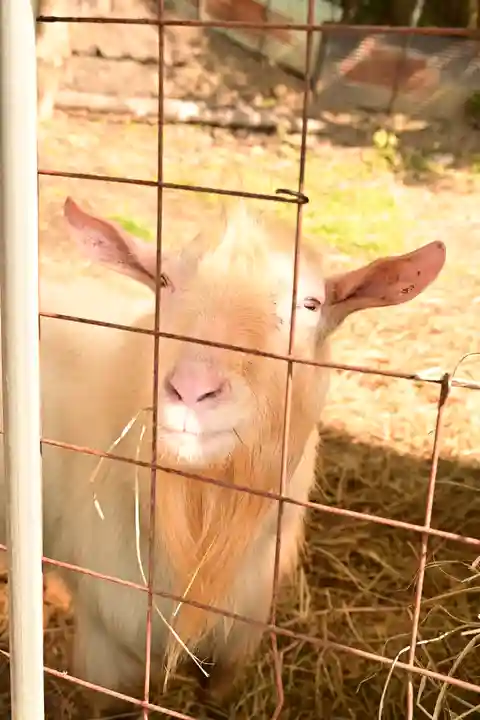 洞春寺(山口県)