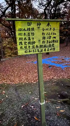 相馬神社の自然