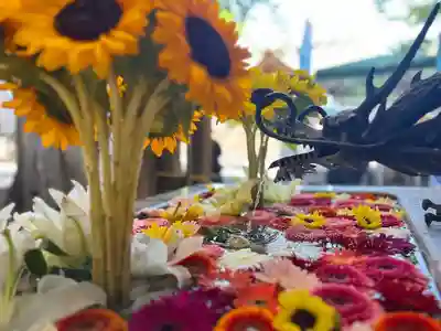 札幌諏訪神社の手水舎