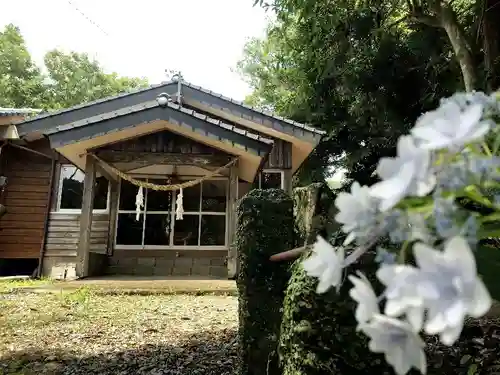 伊比井神社の本殿・本堂