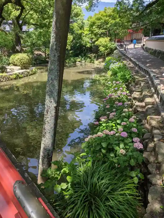 太宰府天満宮の庭園