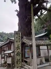 極楽寺の自然