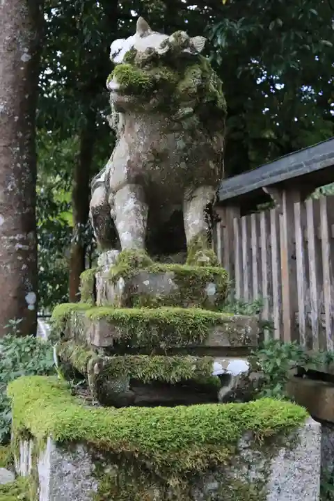 若宮八幡社(滋賀県)