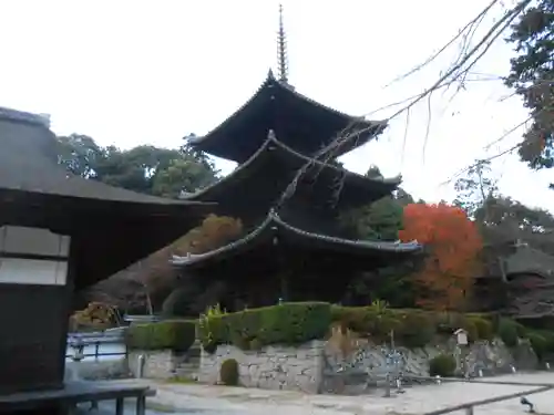 園城寺（三井寺）(滋賀県)