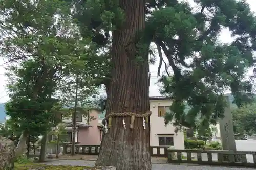 飛騨一宮水無神社の自然