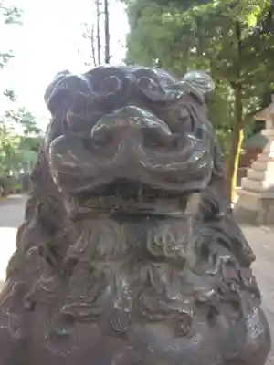 鳩森八幡神社の狛犬