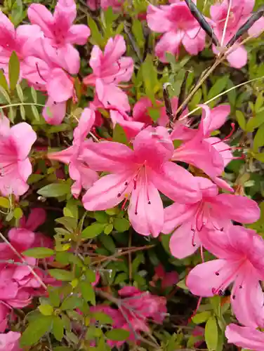 宇波西神社(福井県)