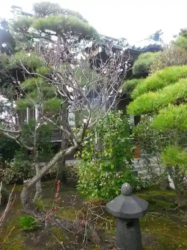 大巧寺の庭園