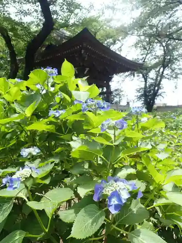 妙楽寺(神奈川県)