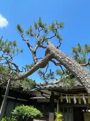 本郷氷川神社(東京都)