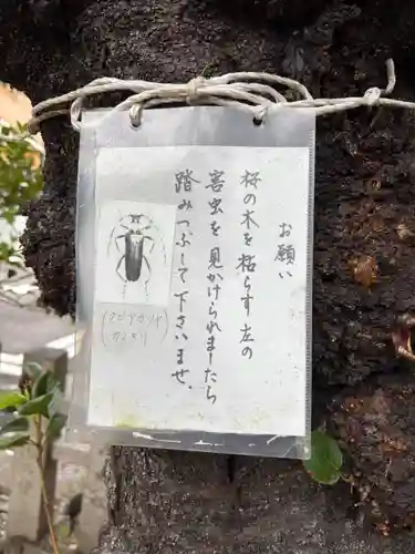 式内楯原神社(大阪府)