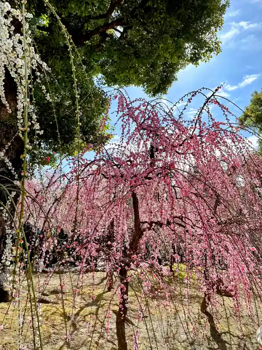 城南宮(京都府)